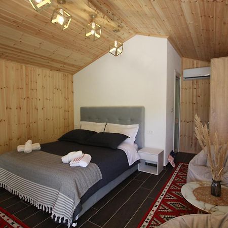 Lugina E Shengjergjit ,Bujtinat Villa Tiranë Ngoại thất bức ảnh