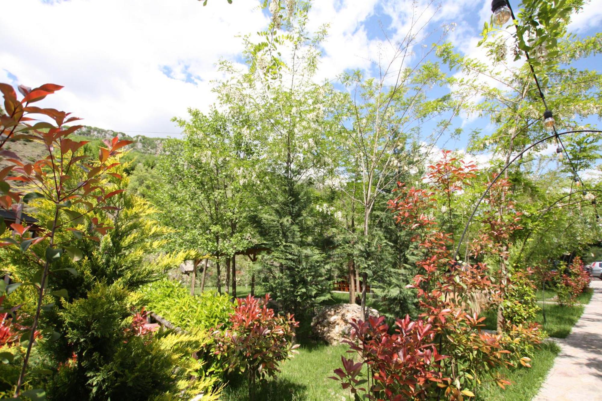 Lugina E Shengjergjit ,Bujtinat Villa Tiranë Ngoại thất bức ảnh