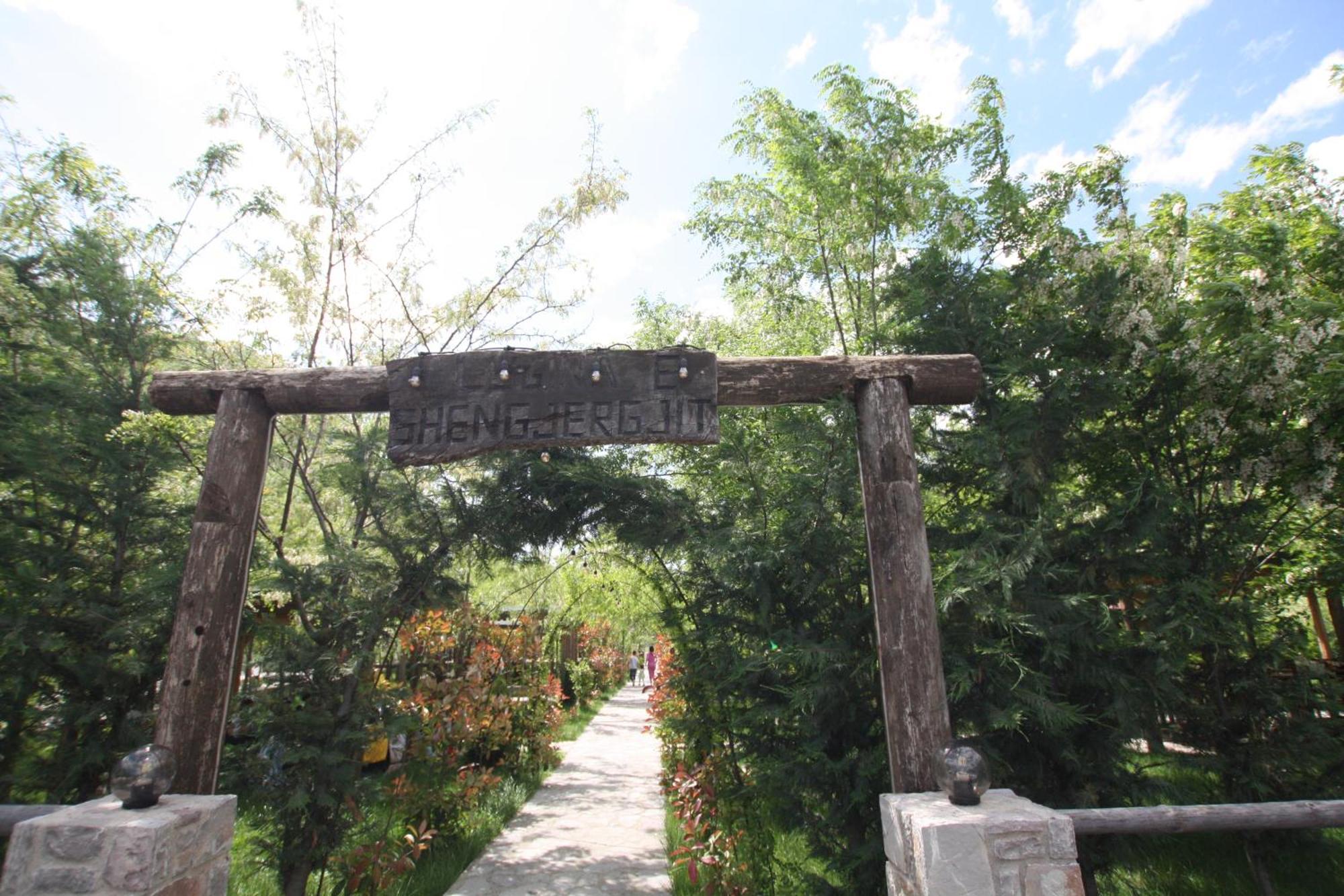 Lugina E Shengjergjit ,Bujtinat Villa Tiranë Ngoại thất bức ảnh